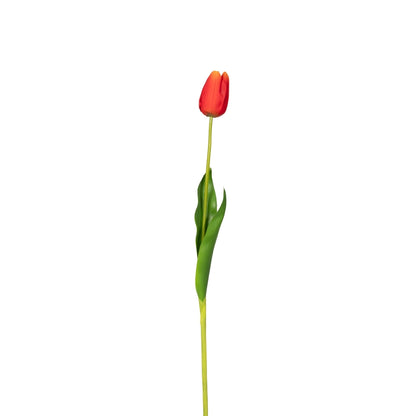 Orange Tulip Stem