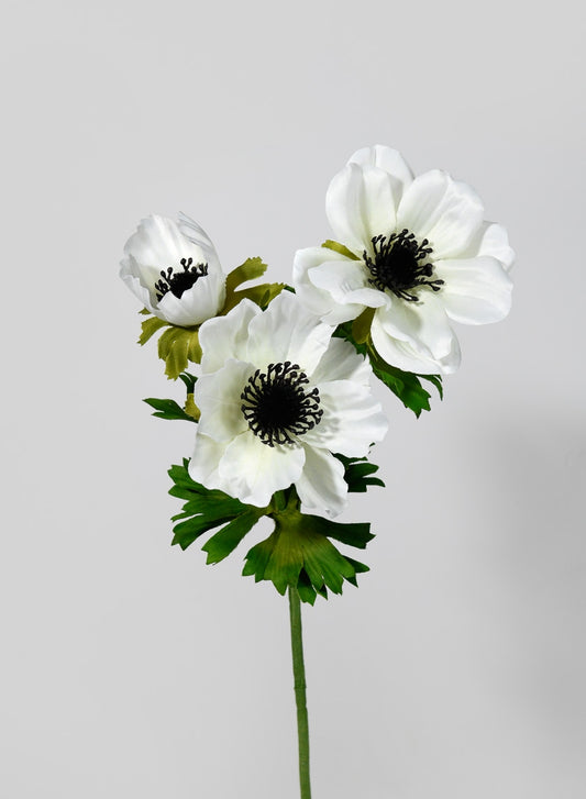 Anemone Spray