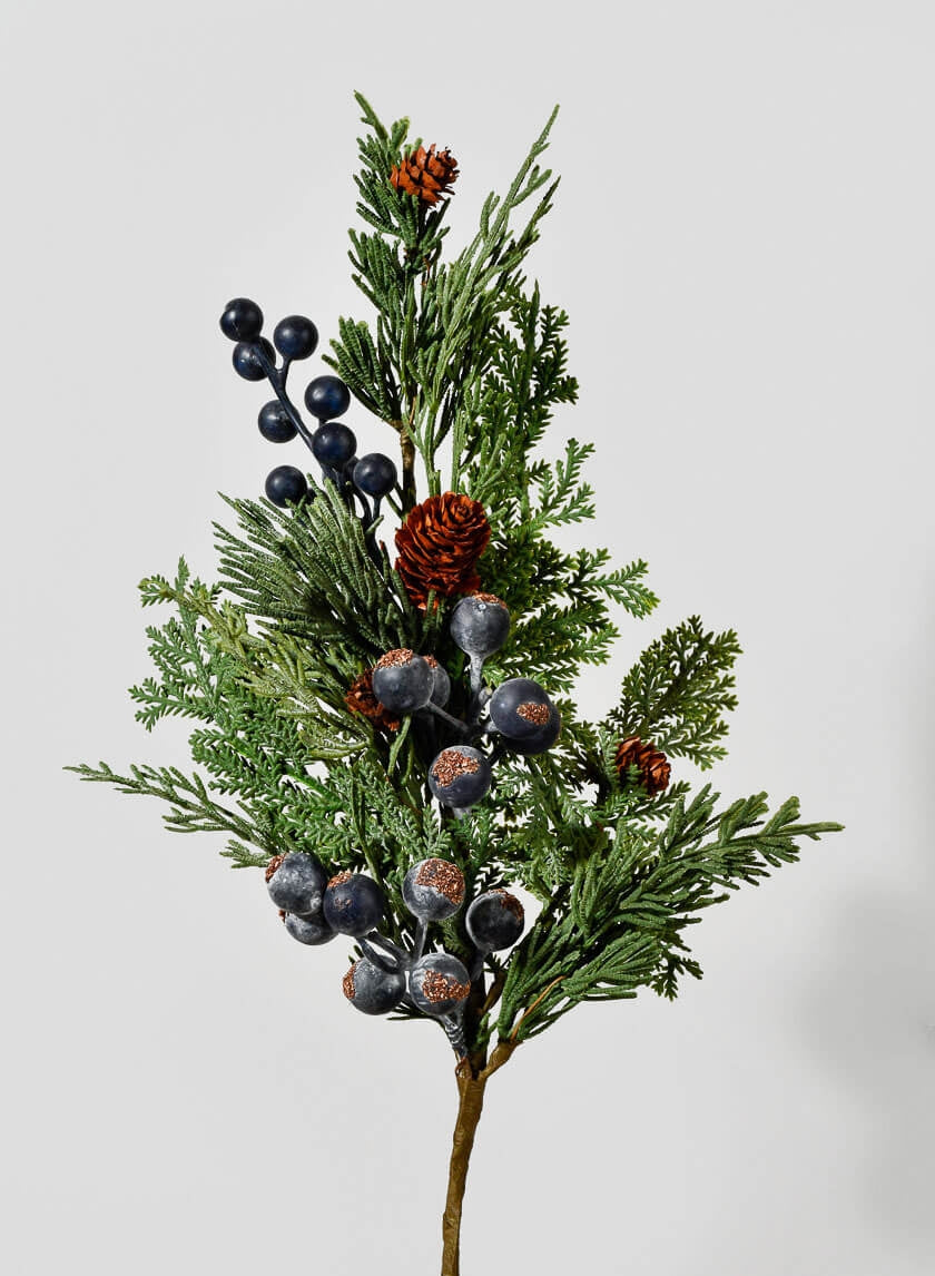 Blueberry Cypress Pick