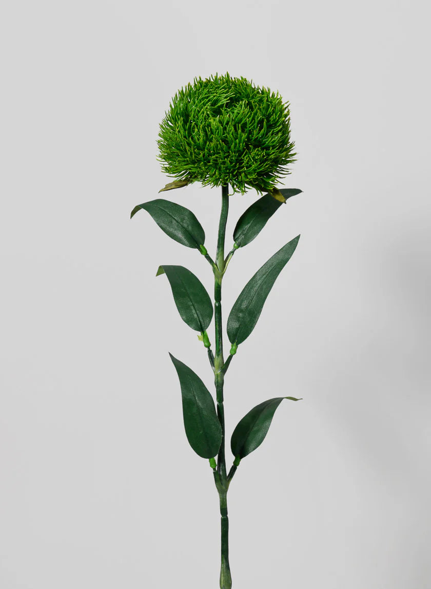 Dianthus Spray