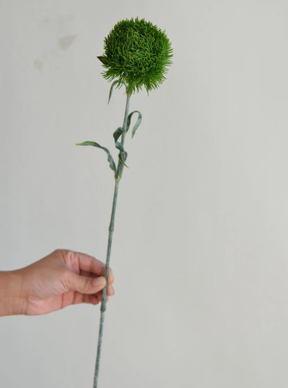 Dianthus Spray